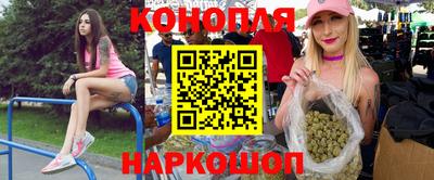 Альфа ПВП Лесосибирск