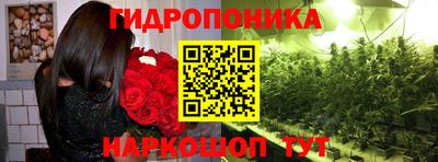 Альфа ПВП Лесосибирск