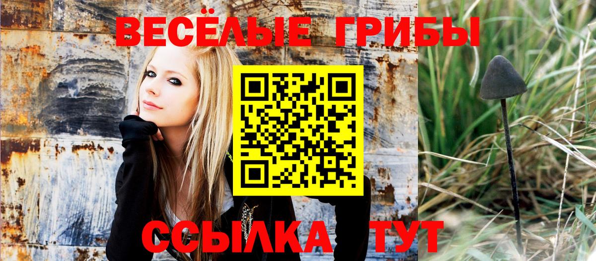 наркота  Псилоцибиновые грибы мицелий  Вход с VPN  Карачаевск  Псилоцибиновые грибы Cubensis 