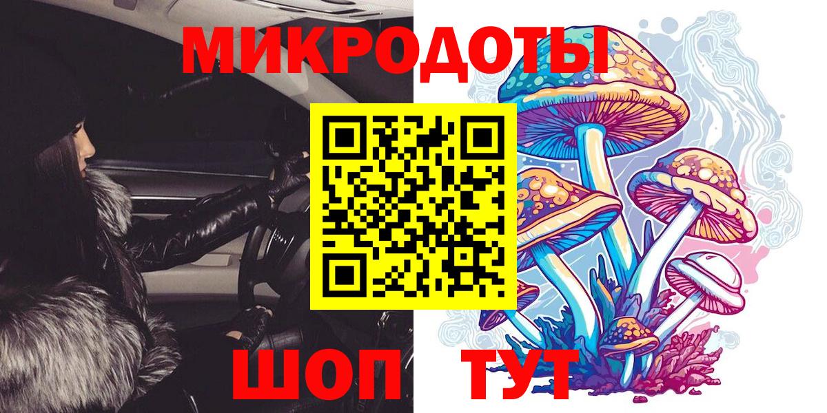 Галлюциногенные грибы Cubensis Карачаевск
